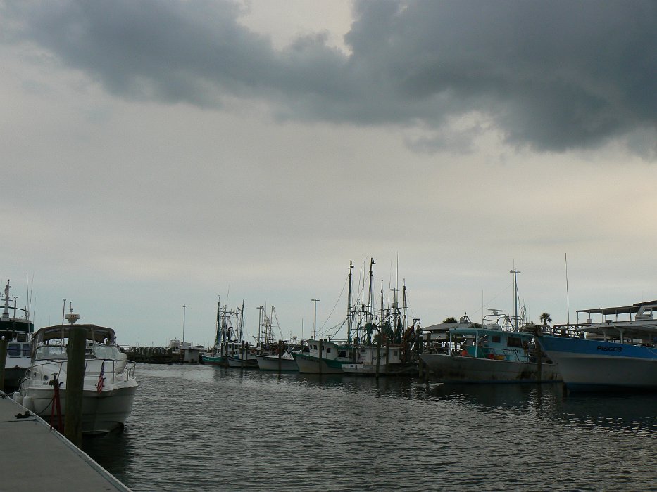 7-St Andrews Marina-2.jpg